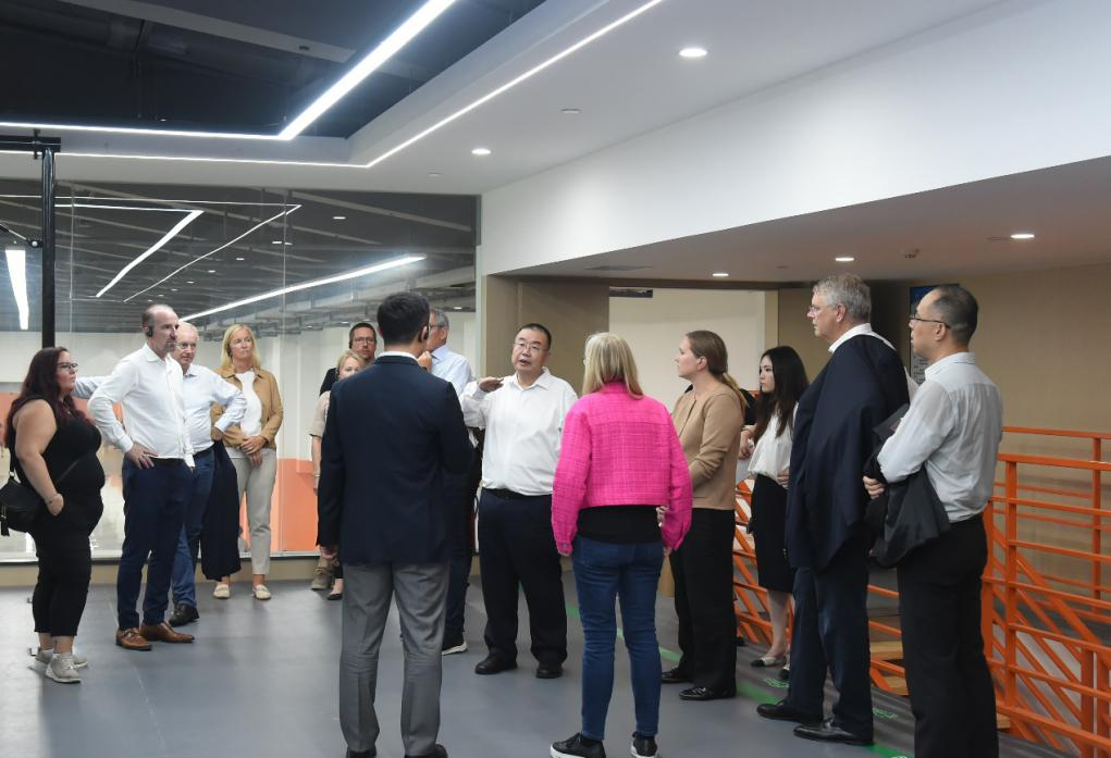 金沙娱乐城官网